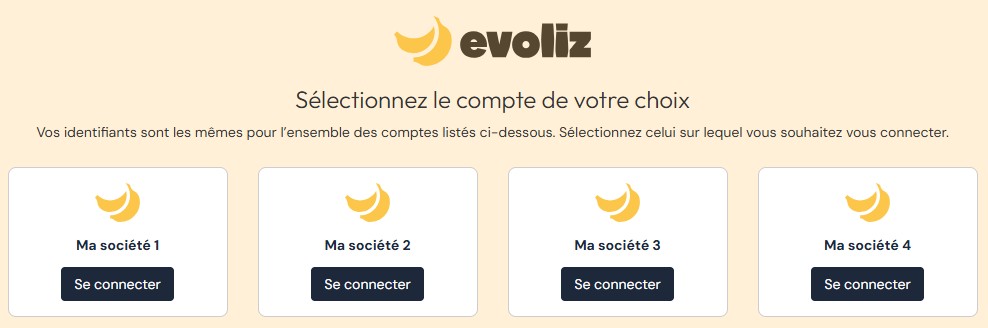 multi-societe-evoliz.jpg